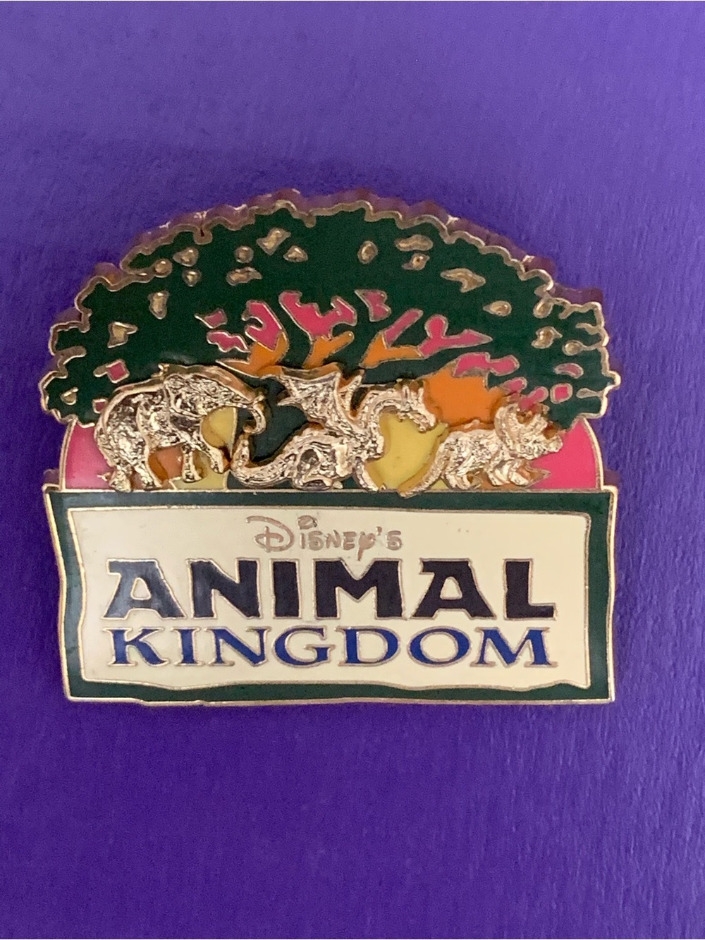 Disney Official Single Walt Disney World 2006 Disney’s Animal Kingdom Pin